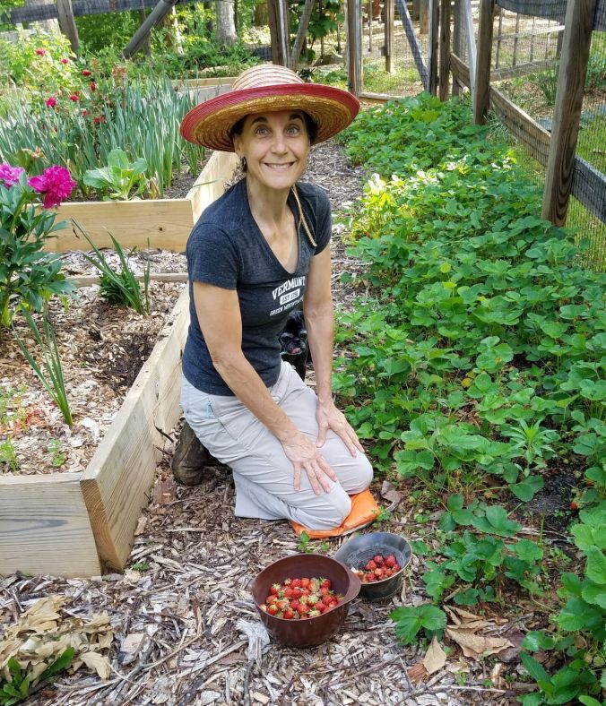 picking strawberries May 2018.2mp.jpg