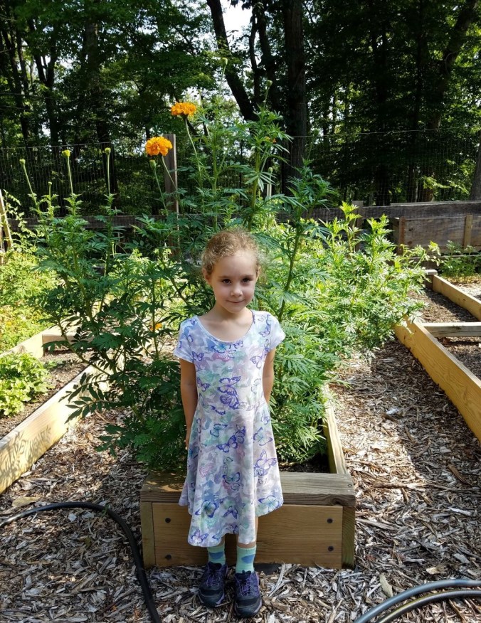 rise marigold 2018.2mp (2).jpg