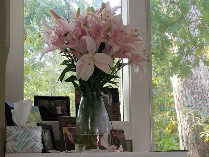 lilies in the morning2mp