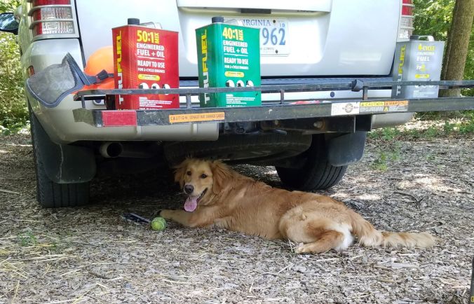 Willow under the car (2)2mp
