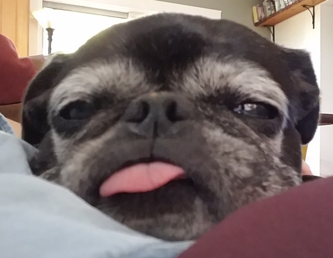 20191014_163250coco (2).jpg