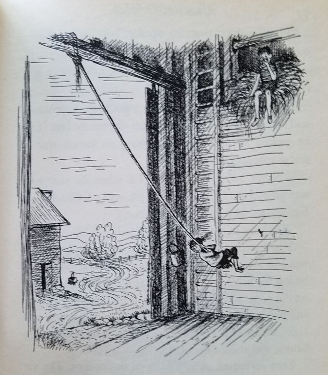 fern swinging (2)2mp